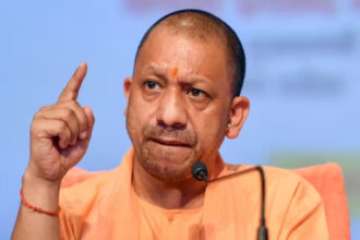 Cm Yogi