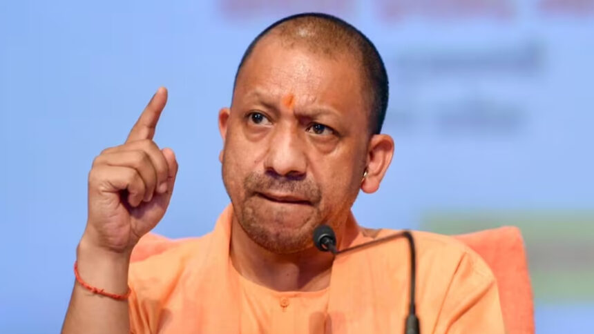 Cm Yogi